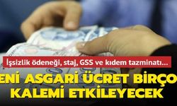 Yeni asgari ücret hangi kalemleri etkileyecek?