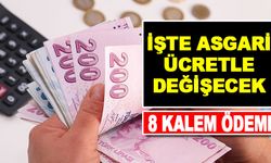 Yeni asgari ücretle birlikte değişecek diğer ödemeler