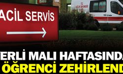 Yerli Malı Haftası etkinliğinde 9 öğrenci zehirlendi