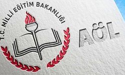 2024 AÖL 1. Dönem Sınav Sonuçları: Sorgulama Süreci ve Detaylar