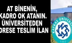 At Binenin, Kadro Ok Atanın. Üniversiteden adrese teslim ilan