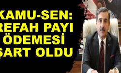 Kamu-Sen: Refah payı ödemesi şart oldu