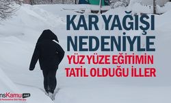 Kar yağışı dolayısıyla bazı ilçelerde okullar tatil edildi