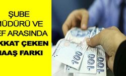 Şube müdürü ile şef arasında dikkat çeken maaş farkı!
