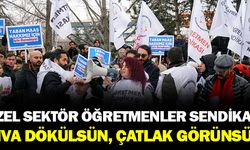 Özel Sektör Öğretmenleri Sendikası: Sıva dökülsün, çatlak görünsün!