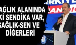 “Sağlık Alanında İki Sendika Var, Sağlık-Sen ve Diğerleri”