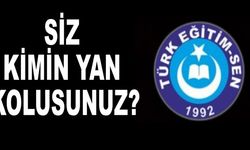 SİZ KİMİN YAN KOLUSUNUZ?