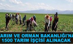 Tarım ve Orman Bakanlığı'na 1500 tarım işçisi alınacak