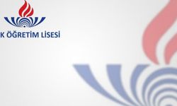 MEB AÖL(Açık Öğretim Lisesi) Sınavları "Online Olsun" Kararı