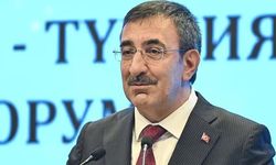 Cevdet Yılmaz: Ekonomimizi her yıl ortalama yüzde 5,5 büyüttük