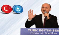 Talip Geylan: Kamu çalışanları sendikal esaret altında