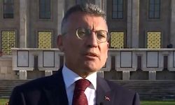 'Başıboş köpekler toplanacak, kısırlaştırılacak, sahiplendirilecek'