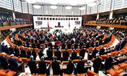 TBMM'de Zeytinlik Tartışması: Maden Sahası Teklifi Gündemde!