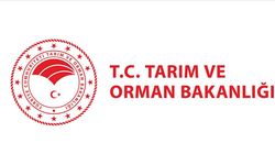 Tarım Bakanlığı Duyurdu: İşlenmeyen Araziler Kiraya Verilecek