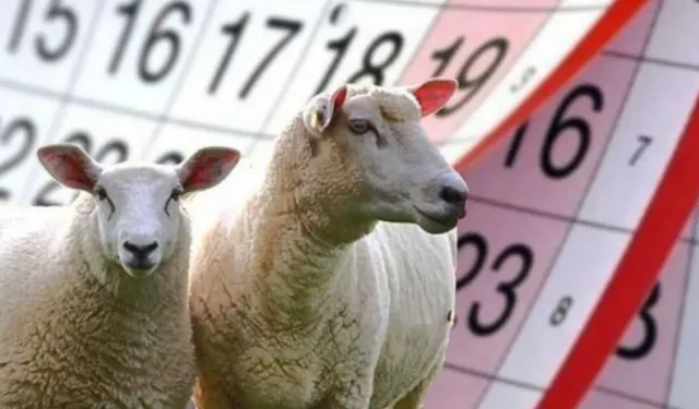 2025 Kurban Bayramı ne zaman?