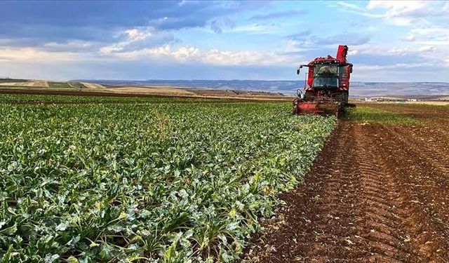 2025 Çiftçi Destek Sorgulama: e-Devlet Nasıl Yapılır?