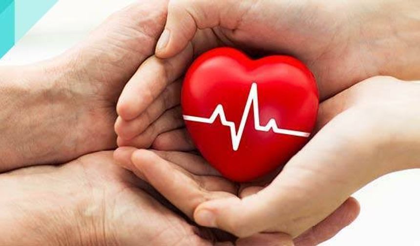 Dijital Dönüşüm Organ Bağışında: Kararınızı e-Devlet ve e-Nabız'dan Bildirin